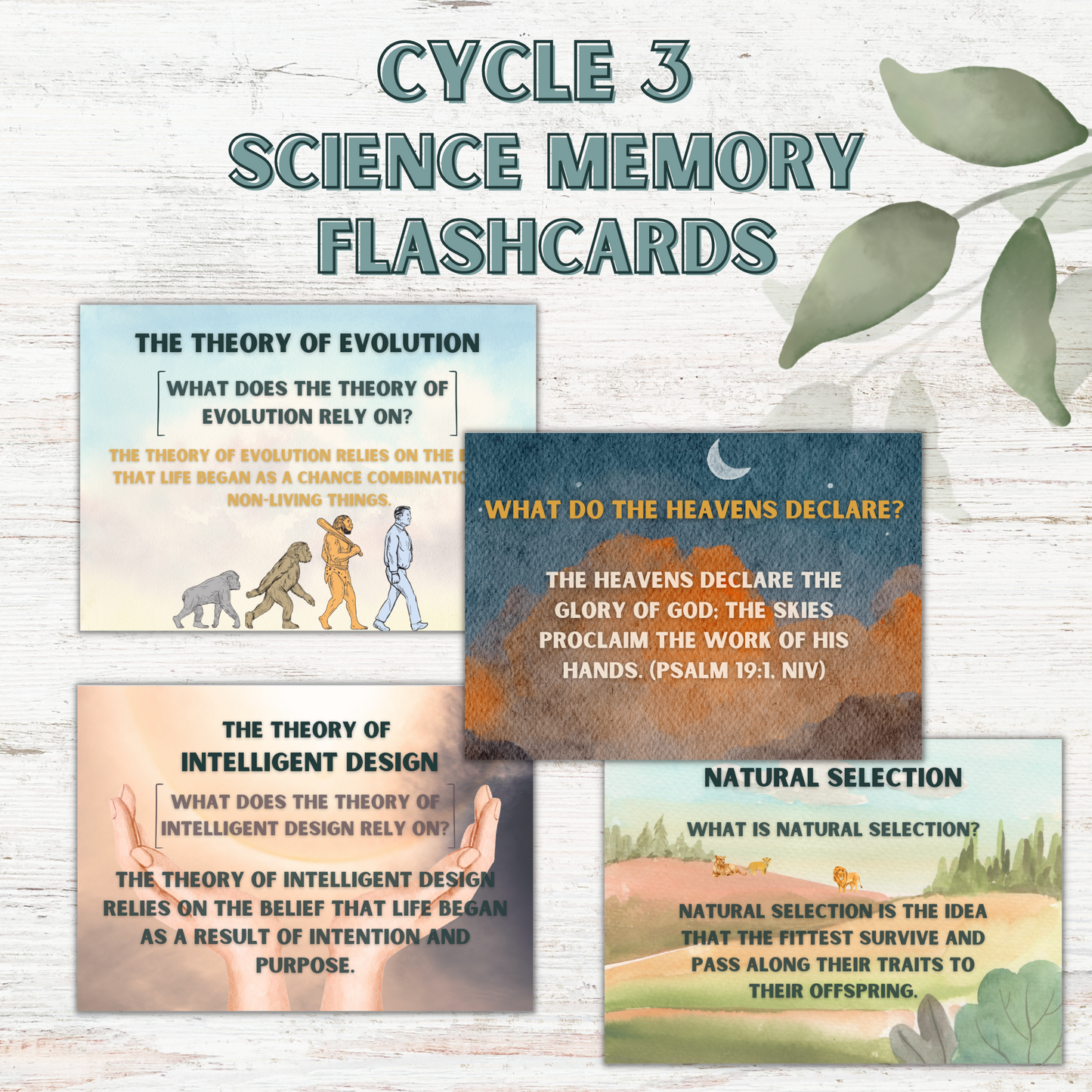 Science Memory Cards | CC Cycle 3