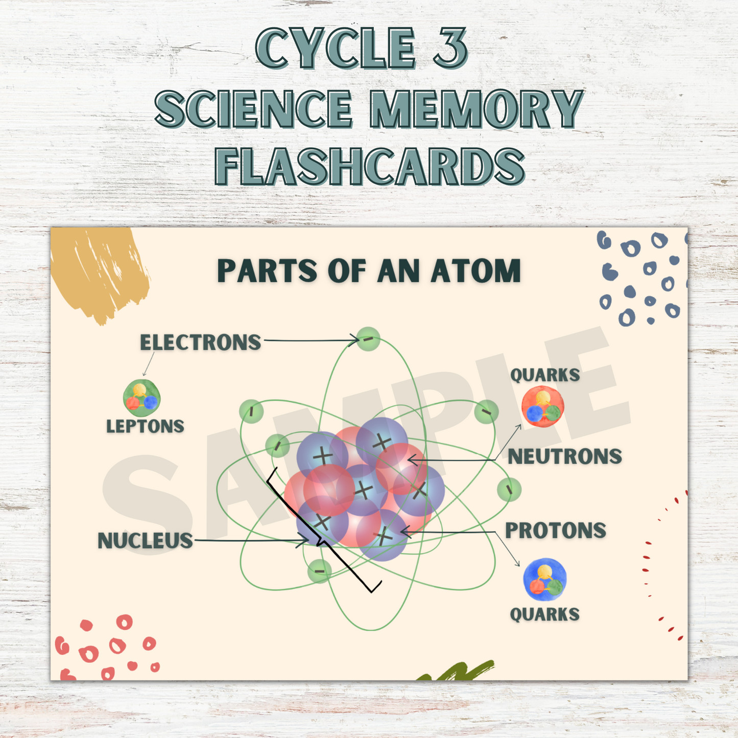 Science Memory Cards | CC Cycle 3