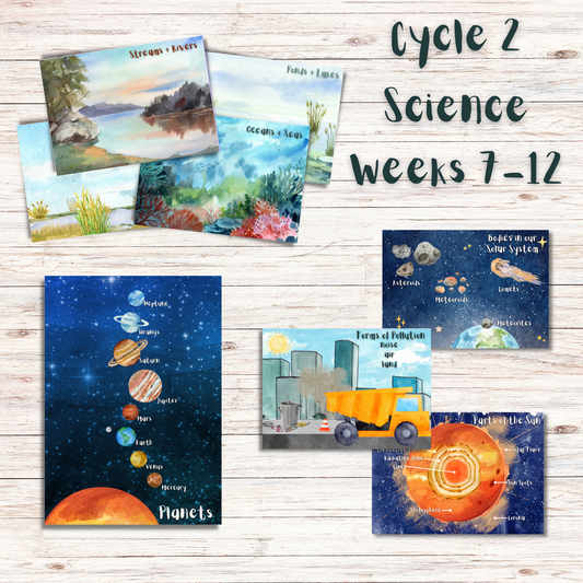 Science Memory Cards | CC Cycle 2 | Weeks 7-12