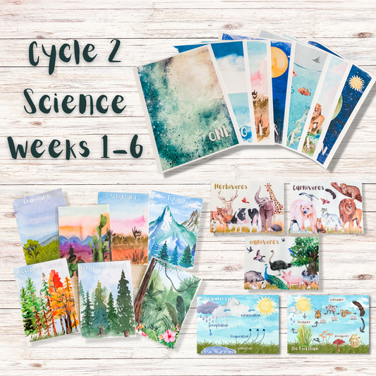 Science Memory Cards | CC Cycle 2 | Weeks 1-6